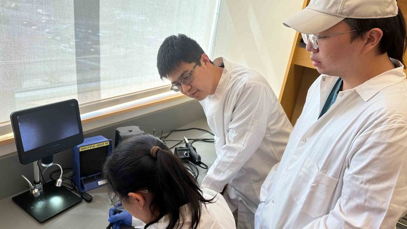 Assistant Professor of Biomedical Engineering Simiao Niu (center) works with graduate students Fuying Dong (left) and Chi Han (right) on a new "living bioelectronic" medical device they developed that combines advanced electronics, living cells and hydrogels. S. Niu