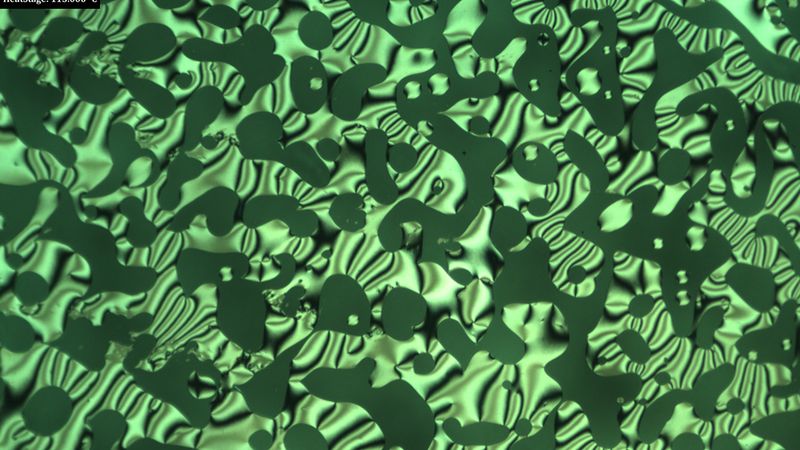 An optical micrograph showing the chiral liquid crystal phase of a polymer that researchers are exploring to produce highly efficient semiconductor materials. Image courtesy Ying Diao Lab