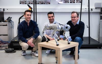 Trotting robots reveal emergence of animal gait transitions