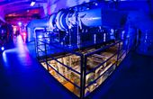 DLR and Rolls-Royce Deutschland develop more climate-compatible aircraft engines
