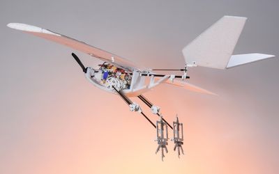 Bird-inspired drone can jump for take-off