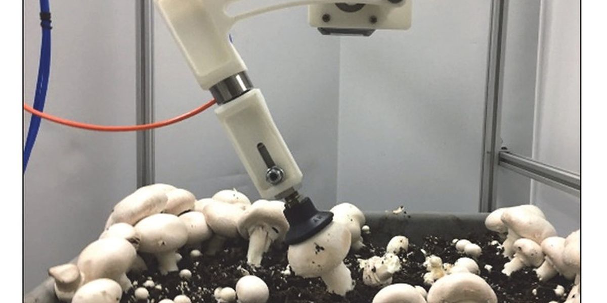 Researchers develop prototype of robotic device to pick, trim button mushrooms