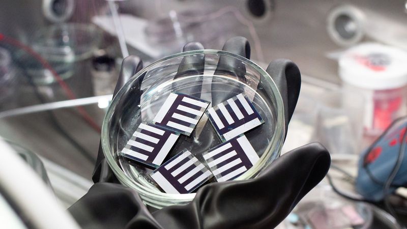 Solar cell samples. Photo by Ekaterina Shevyreva / ITMO.NEWS