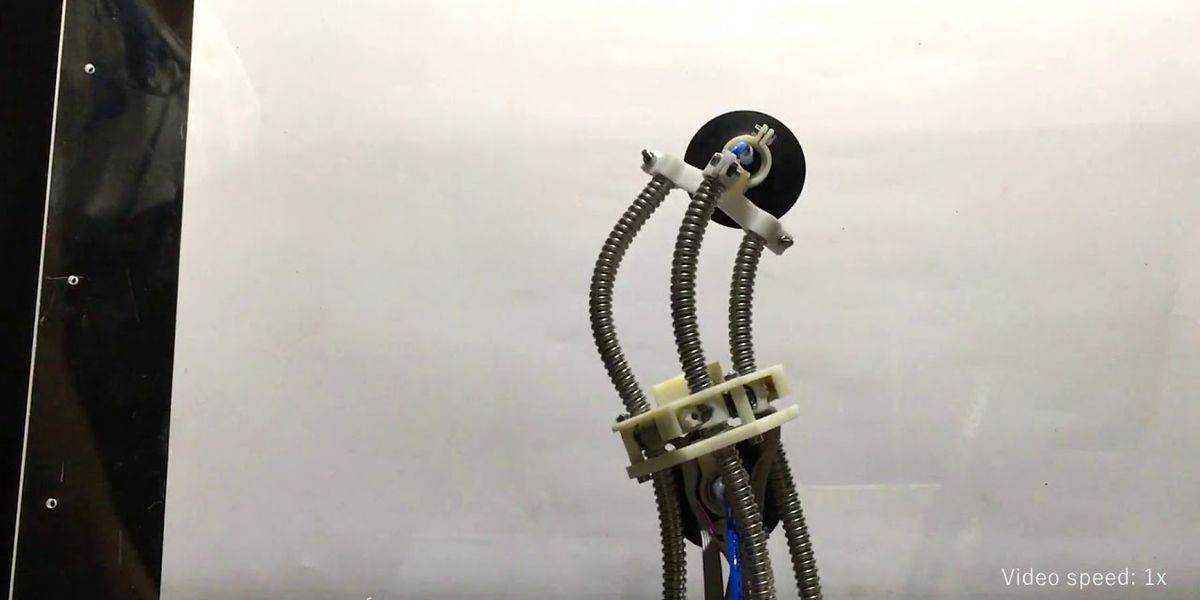 The wall-climbing robot inspired by a leech