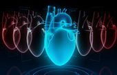 New neural network helps doctors explain relapses of heart failure patients