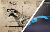 Prehistoric Sculpture Reconstruction