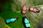 The 4D-printed beetle that changes color when it gets wetter