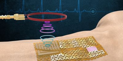 The device senses and wirelessly transmits signals without bulky chips or batteries. Courtesy of the researchers