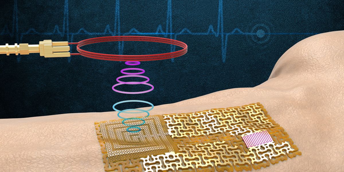 The device senses and wirelessly transmits signals without bulky chips or batteries. Courtesy of the researchers