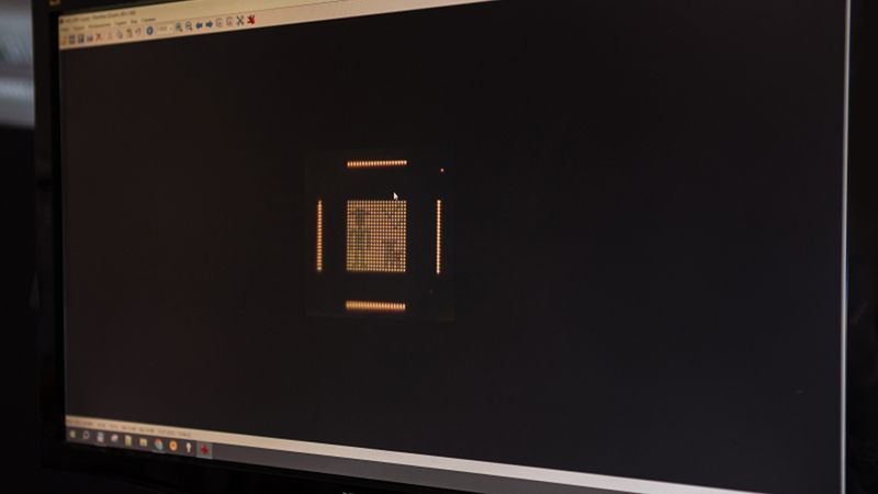 The new anti-forgery tags. Photo by Dmitry Grigoryev / ITMO NEWS