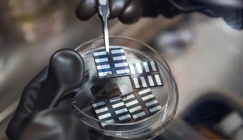 Solar Cells Made More Efficient Thanks to Silicon Nanoantennas