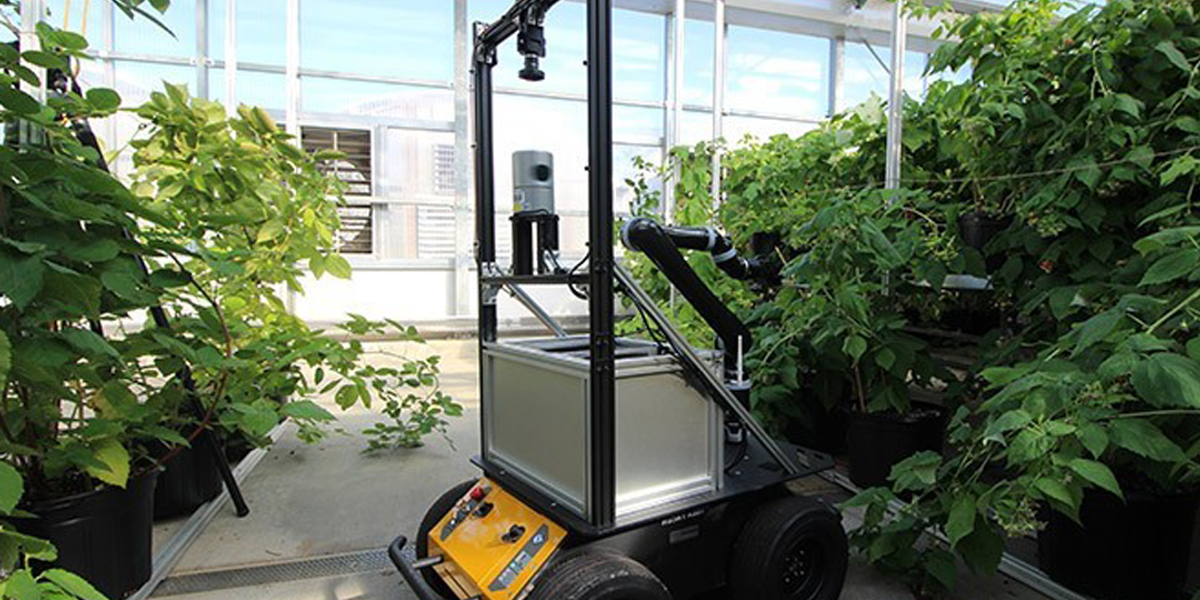 Farming Robot Changes The Future Of Plant Pollination