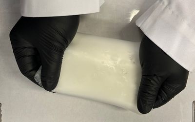 Rubber Material Holds Key to Long-lasting, Safer EV Batteries