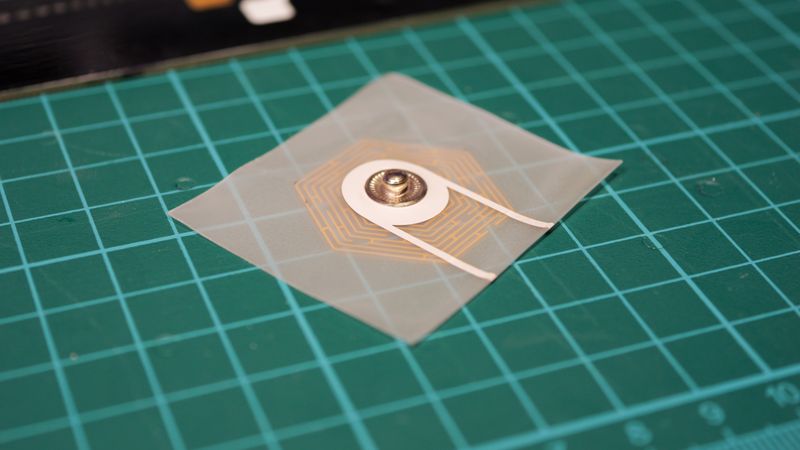 The Intersection of Biology and Technology: Exploring the Future of Bioelectronics