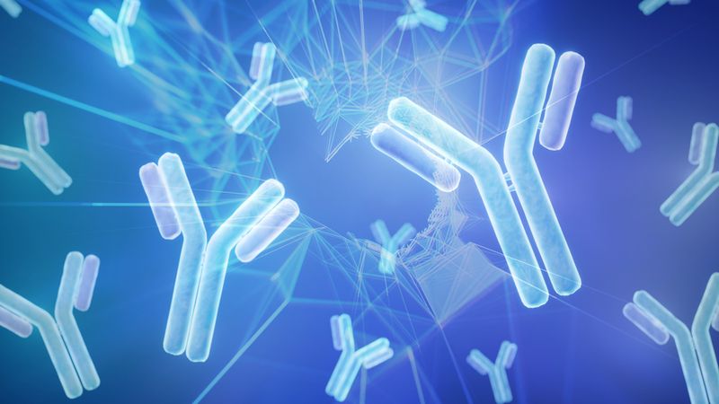 A new computational technique allows large language models to predict antibody structures more accurately. Image: MIT News; iStock