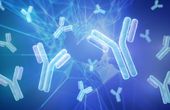 A new computational model can predict antibody structures more accurately