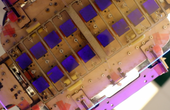 How a gecko-inspired robotic gripper can help clean up space debris