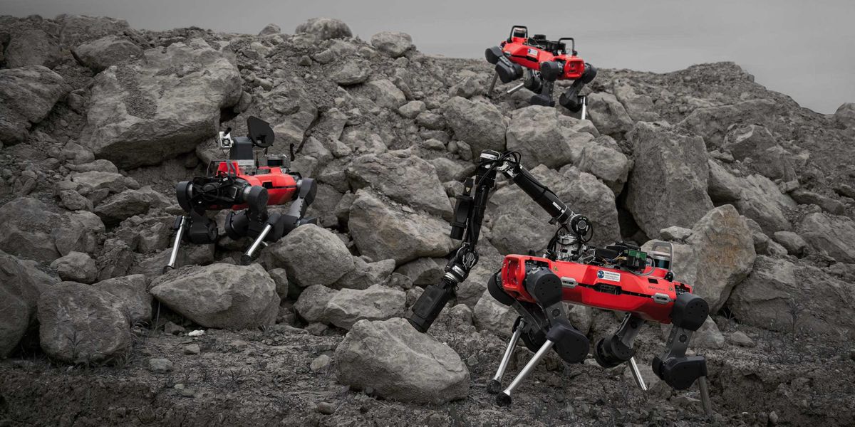 A team is greater than the sum of its parts – the trio of legged robots during a test in a Swiss gravel quarry. (Photograph: ETH Zurich / Takahiro Miki)
