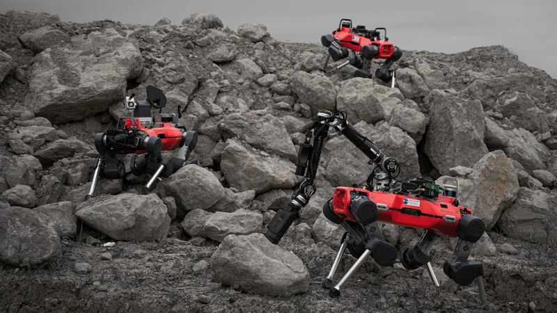 A team is greater than the sum of its parts – the trio of legged robots during a test in a Swiss gravel quarry. (Photograph: ETH Zurich / Takahiro Miki)