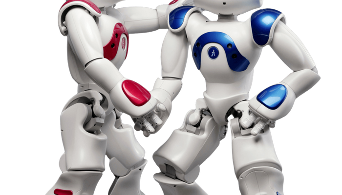 Programmable Humanoïd Robot NAO V6