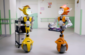 Building a humanoid robot in under a year
