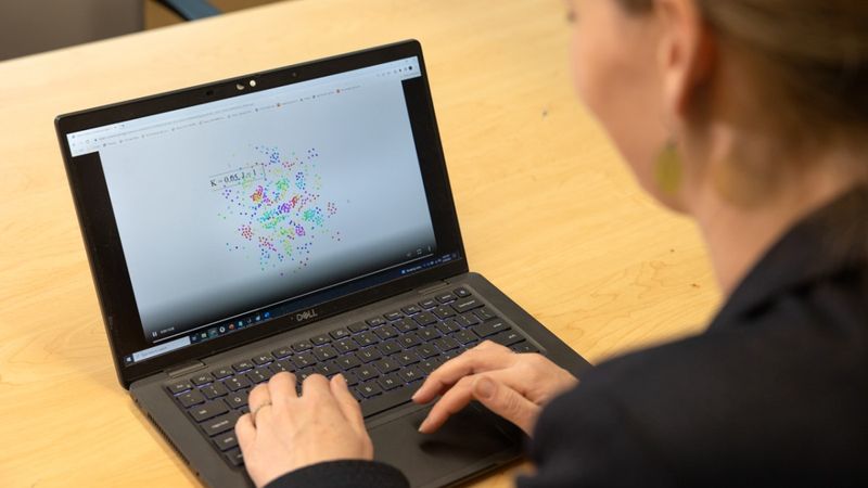 Kirstin Petersen, assistant professor of electrical and computer engineering, and colleagues, have developed a simple model called a swarmalator, where particles self-organize to synchronize in both time and space. Credit: Noël Heaney/Cornell University