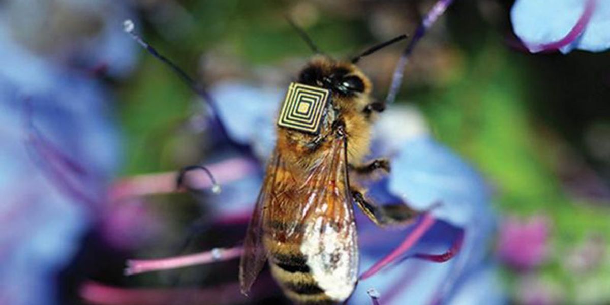 BAW filters for Performance Improvements in Wi-Fi, 5G, and RF Applications