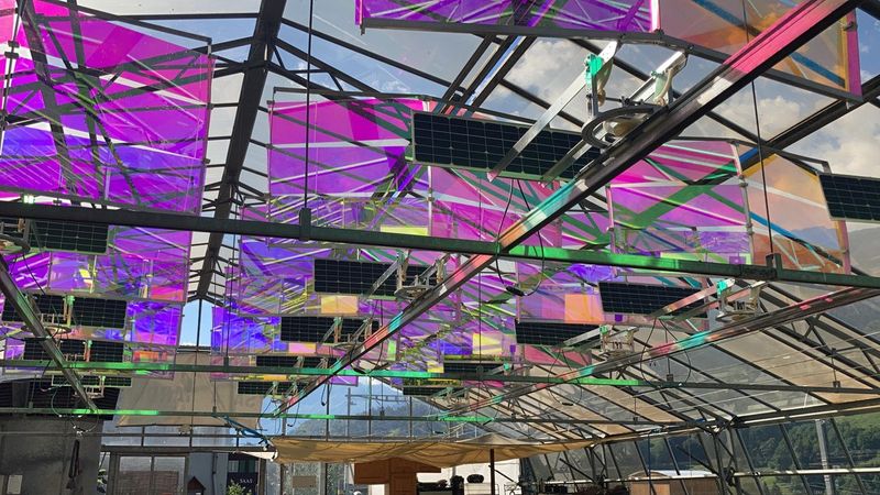Greenhousescan run on their own energy with Voltiris' solar modules © 2022 Voltiris
