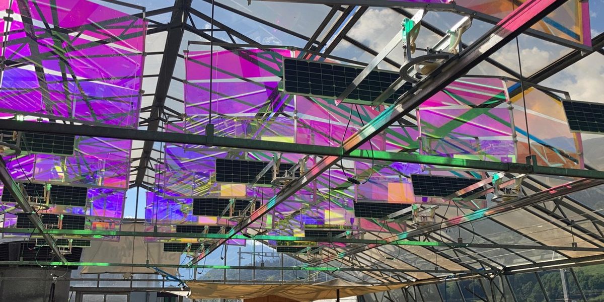 Greenhousescan run on their own energy with Voltiris' solar modules © 2022 Voltiris