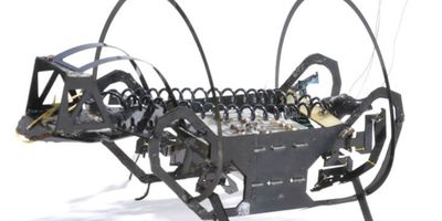 A springtail-like jumping robot