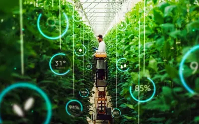 How cellular IoT can improve agricultural yield and the lives of farmers