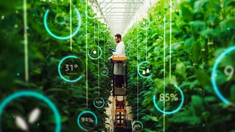 How cellular IoT can improve agricultural yield and the lives of farmers