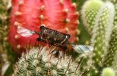 Resilient bug-sized robots keep flying even after wing damage