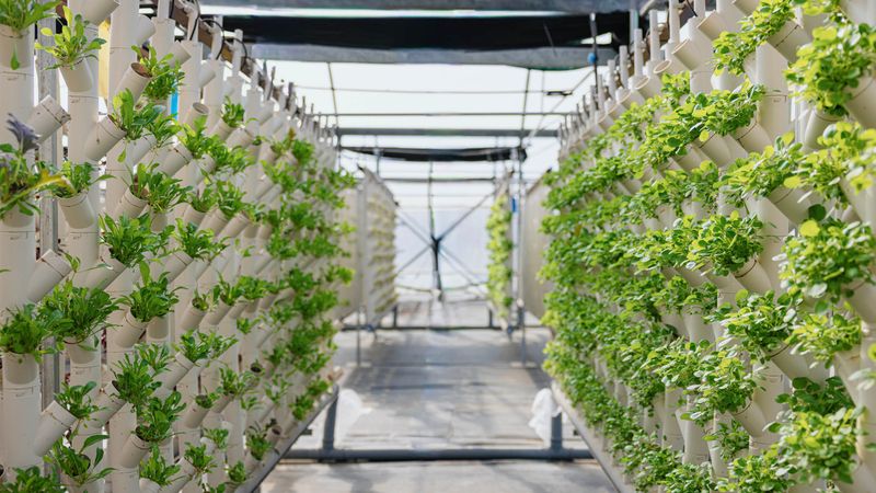 The Arduino Opta microPLC was at the core of a custom industrial solution that balanced full control with cost-effectiveness.