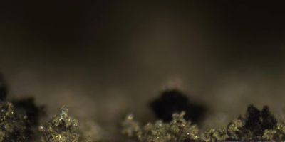 Lithium dendrites grow, shrink and break away from lithium metal electrodes. Image: Dasgupta Lab, University of Michigan