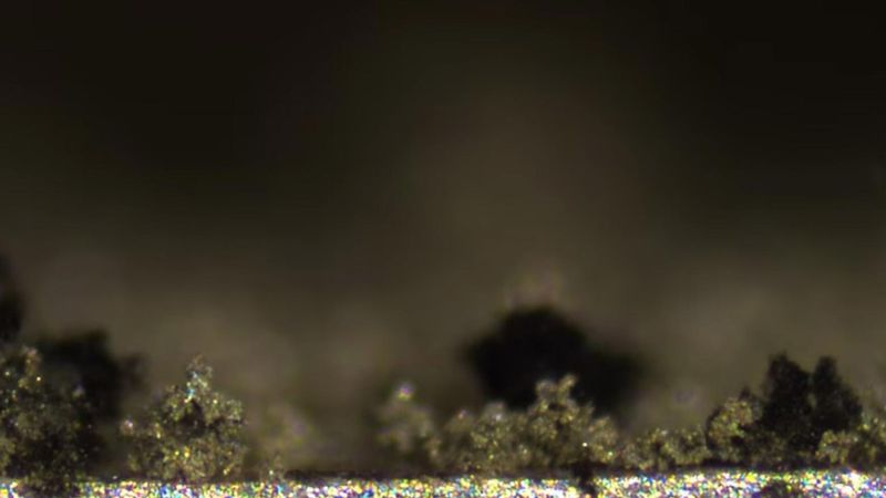 Lithium dendrites grow, shrink and break away from lithium metal electrodes. Image: Dasgupta Lab, University of Michigan