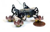 Next-generation robotic cockroach can explore underwater environments