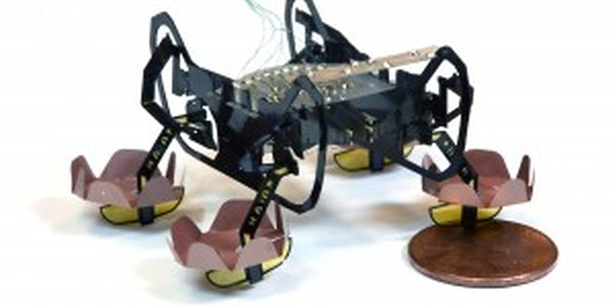 The next generation of Harvard’s Ambulatory Microrobot (HAMR) can walk on land, swim on the surface of water, and walk underwater, opening up new environments for this little bot to explore.  (Credit: Yufeng Chen, Neel Doshi, and Benjamin Goldberg/Harvard University)