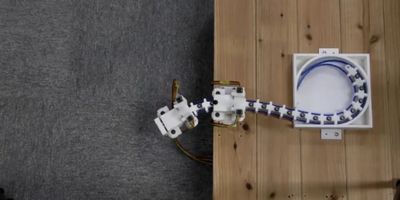Design inspiration from woodpeckers could allow robotic arms to be bendable and extendable