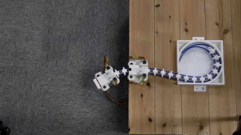 Design inspiration from woodpeckers could allow robotic arms to be bendable and extendable