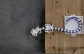 Design inspiration from woodpeckers could allow robotic arms to be bendable and extendable