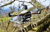 Podcast: Falcon Inspired Drones