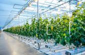Applying Single Board Computers (SBCs) in Indoor Agriculture Applications