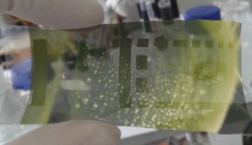 Sustainable Printed Electronics: Green Materials for Wearable Applications