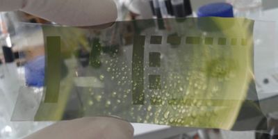 Sustainable Printed Electronics: Green Materials for Wearable Applications