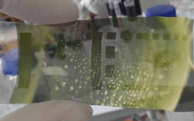 Sustainable Printed Electronics: Green Materials for Wearable Applications