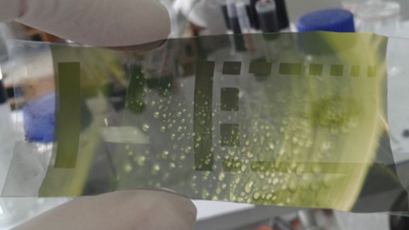 Sustainable Printed Electronics: Green Materials for Wearable Applications