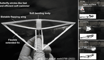 'Butterfly Bot' is Fastest Swimming Soft Robot Yet