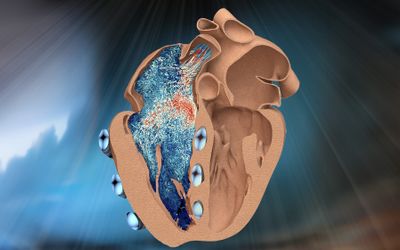 MIT engineers design a robotic replica of the heart's right chamber