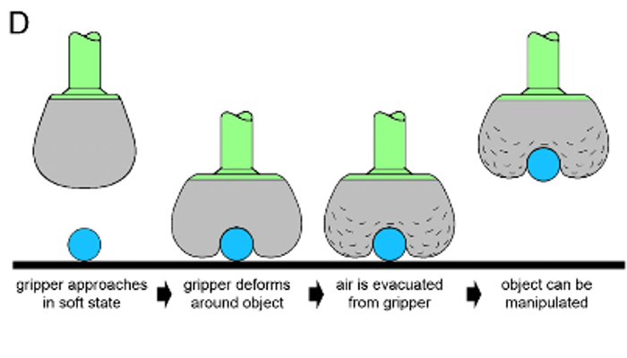 Soft robotic gripper uses nothing but air to grasp and release objects